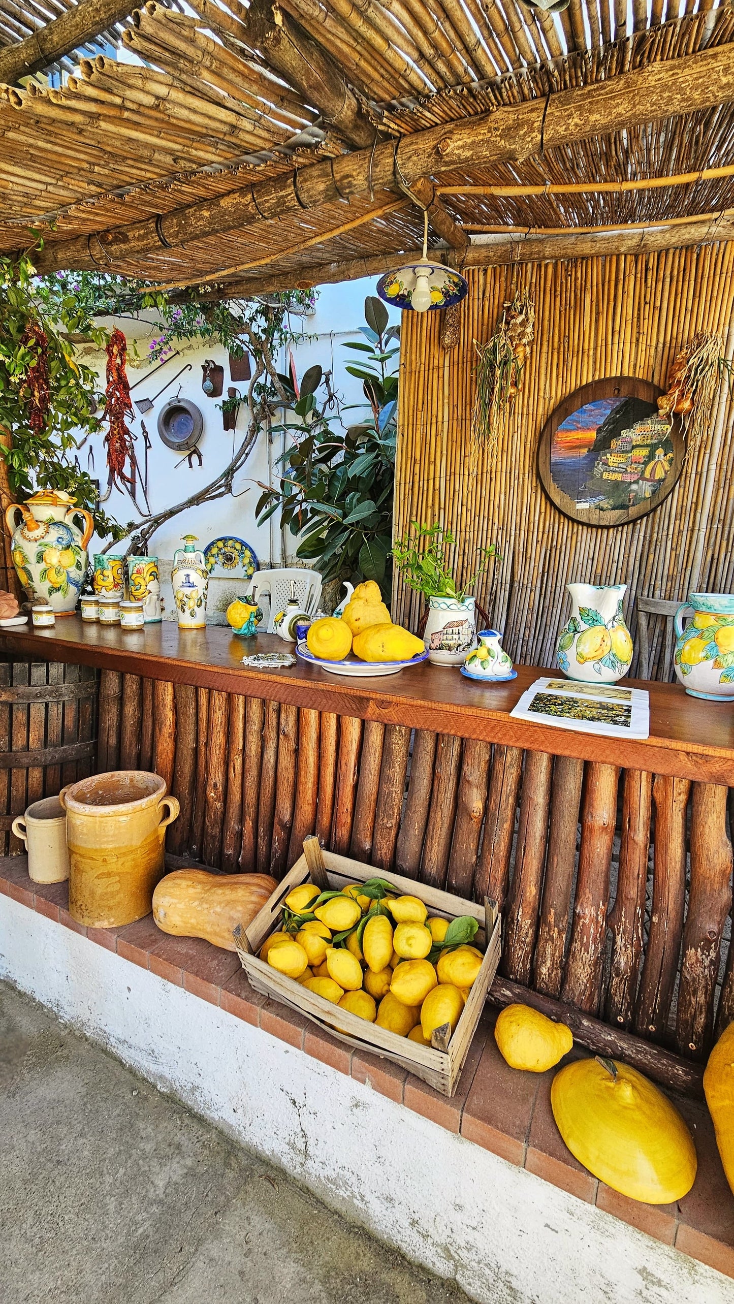 Lemon Tour on the PATH OF LEMONS with tasting - AGRICOLA RUOCCO'S