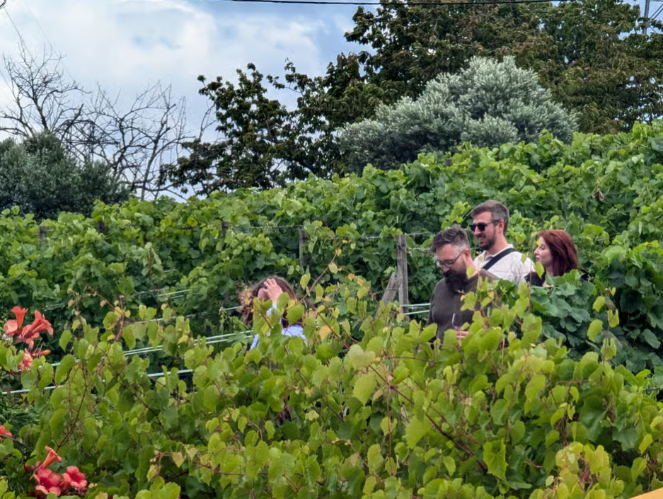 From Porto: 2 Wine Regions, Farm-to-Table Lunch & Private Boat Experience