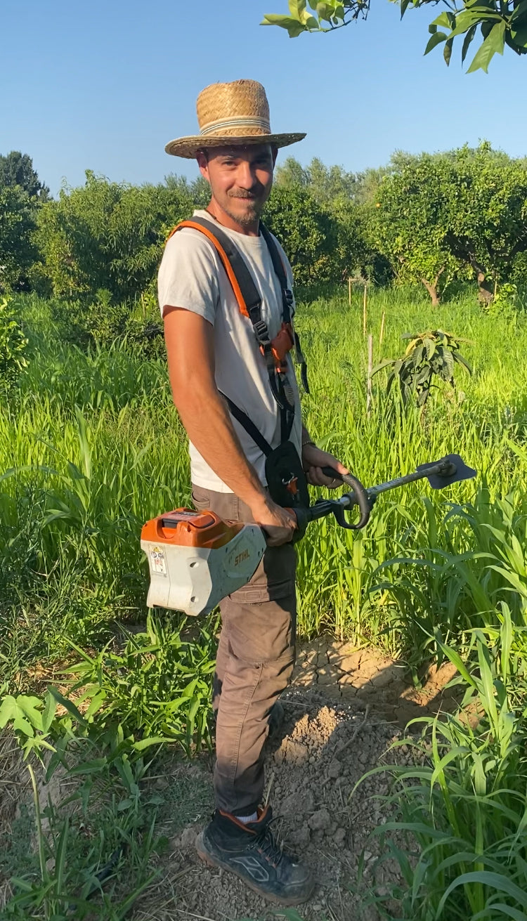 Regenerative Gardening & Permaculture Experience