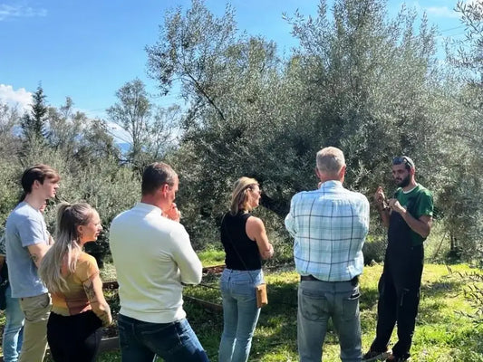 Olive Farm Tour in Greece: Visiting Ganias Natural Farm