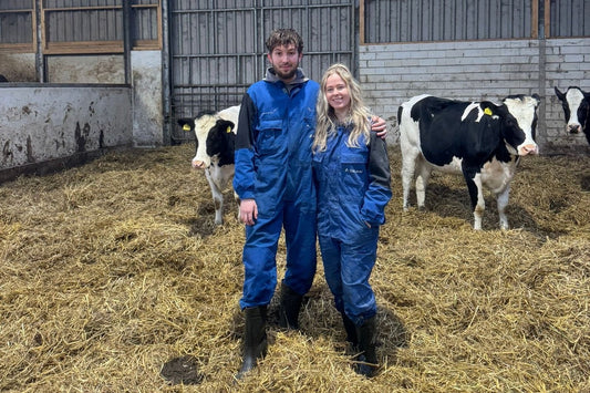 Visiting an Organic Robotic Dairy Farm in the Netherlands: Nijstad Farm in Friesland