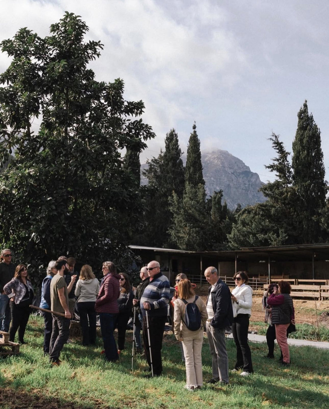 Farm Experiences in Mallorca: Visiting Sa Cabreta in the Serra de Tramuntana