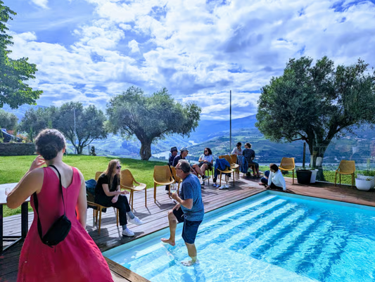 Wine Regions and Farm-to-Table Lunch from Porto: A Day in the Douro Valley