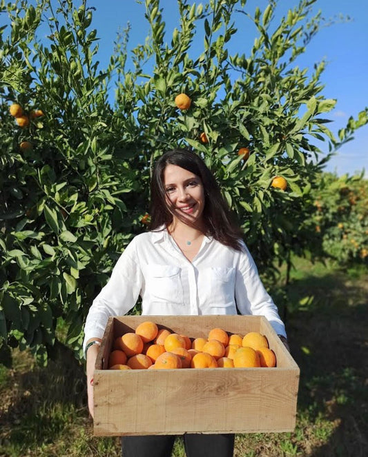 Why Farm Experiences Are the Future of Sustainable Tourism