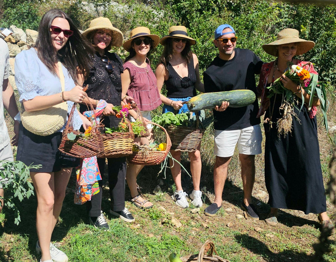 What Is Agrotourism? A Guide to Authentic Farm and Food Experiences
