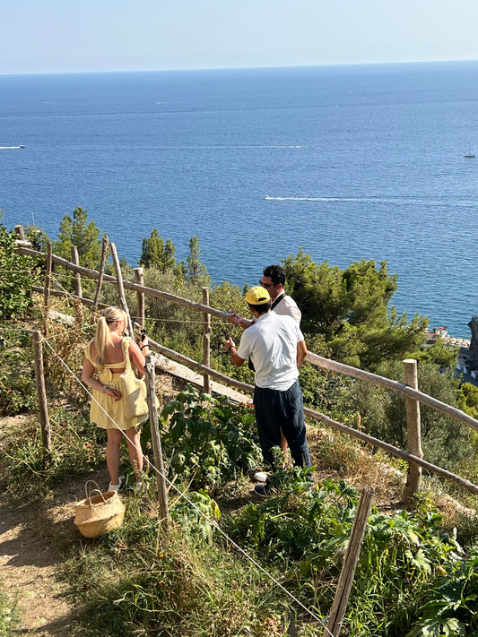 Cooking Class on the Amalfi Coast: Farm-to-Table Experience at Golden Dream Farm