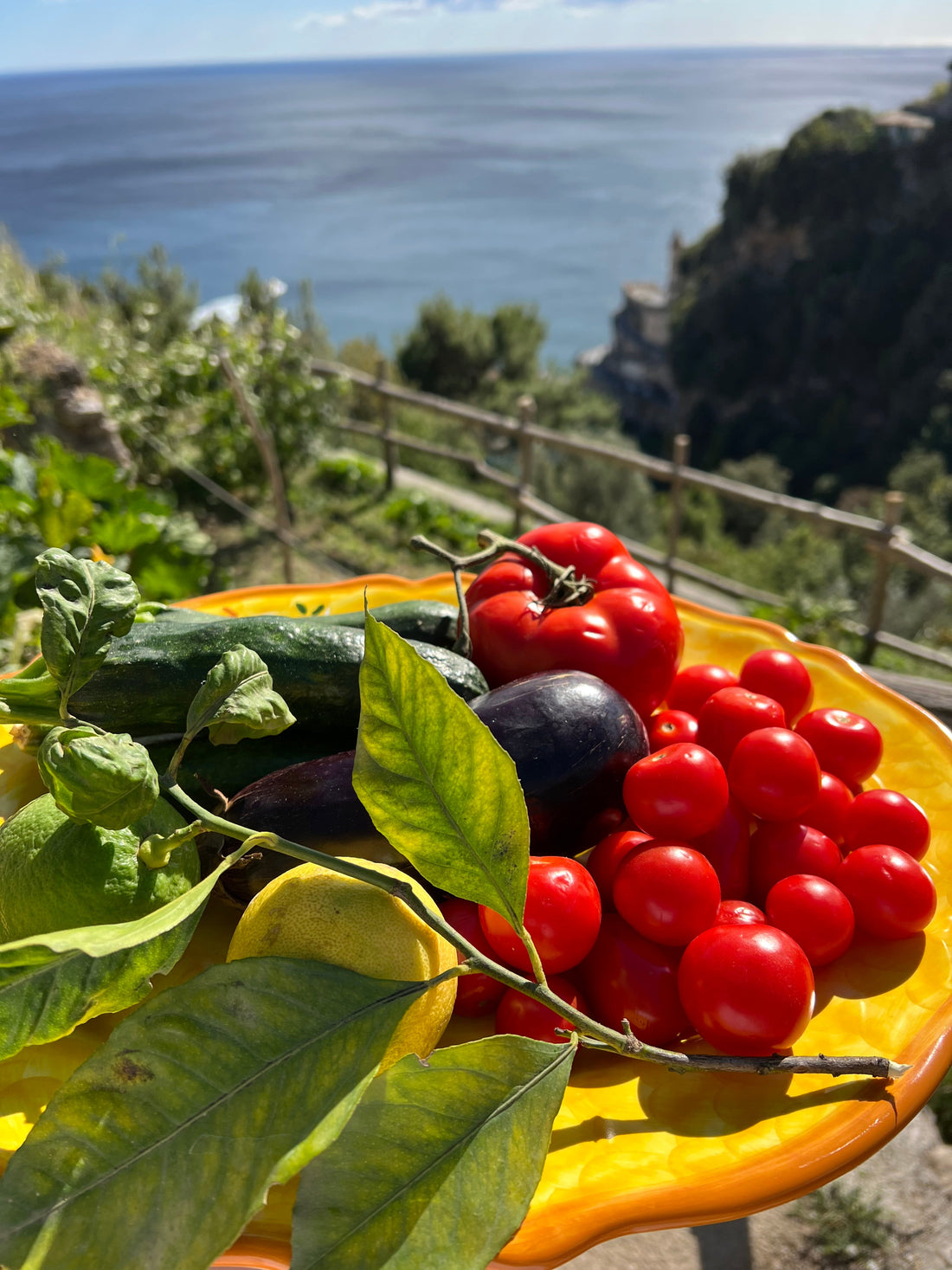 Farm to Table on the Amalfi Coast: Where Food Comes From and How to Experience It