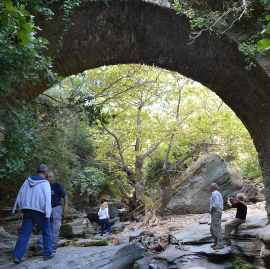 Farm Wellness and Cooking Experience on Andros Island: A Day at Virginia's Farm