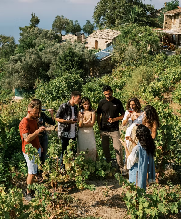 Wine tasting