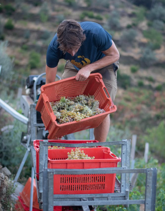 Heroic Vineyard Wine Tour – Eroico Vino