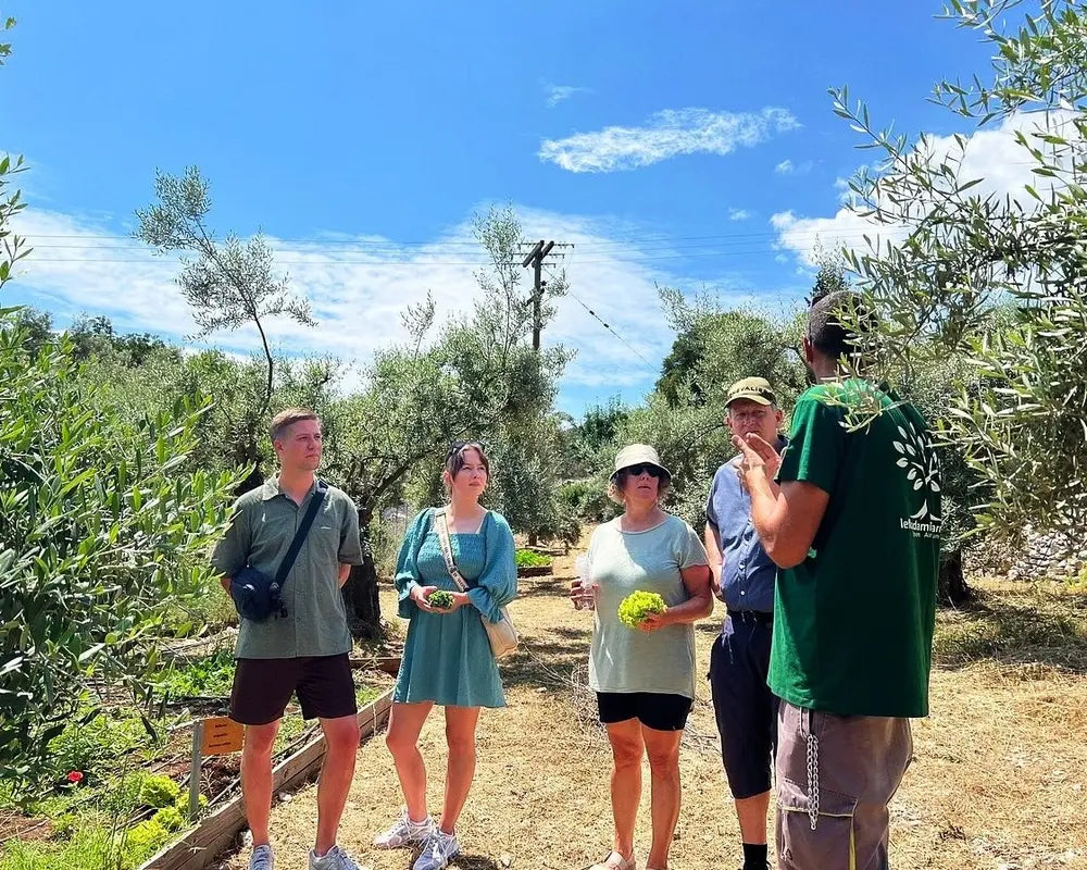 Olive Oil Experience – Lefkada Micro Farm