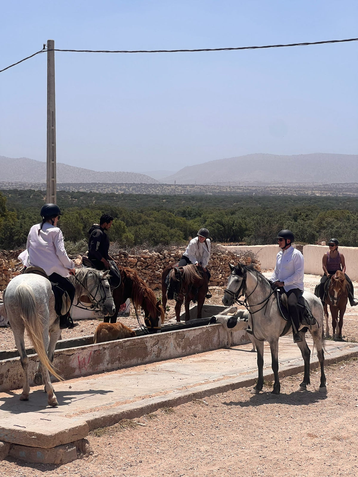 Beyond the Dunes: 4-Day Horse Trek on the Atlantic Coast of Morocco