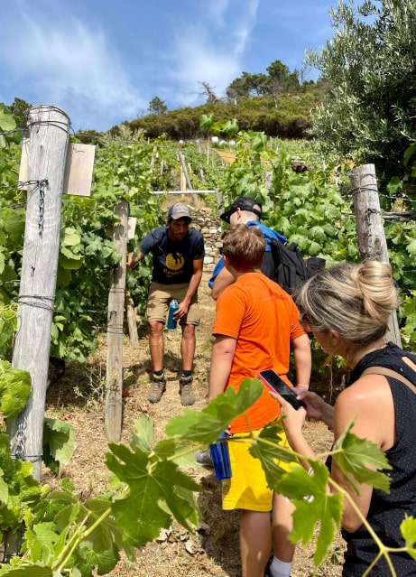 Heroic Vineyard Wine Tour – Eroico Vino