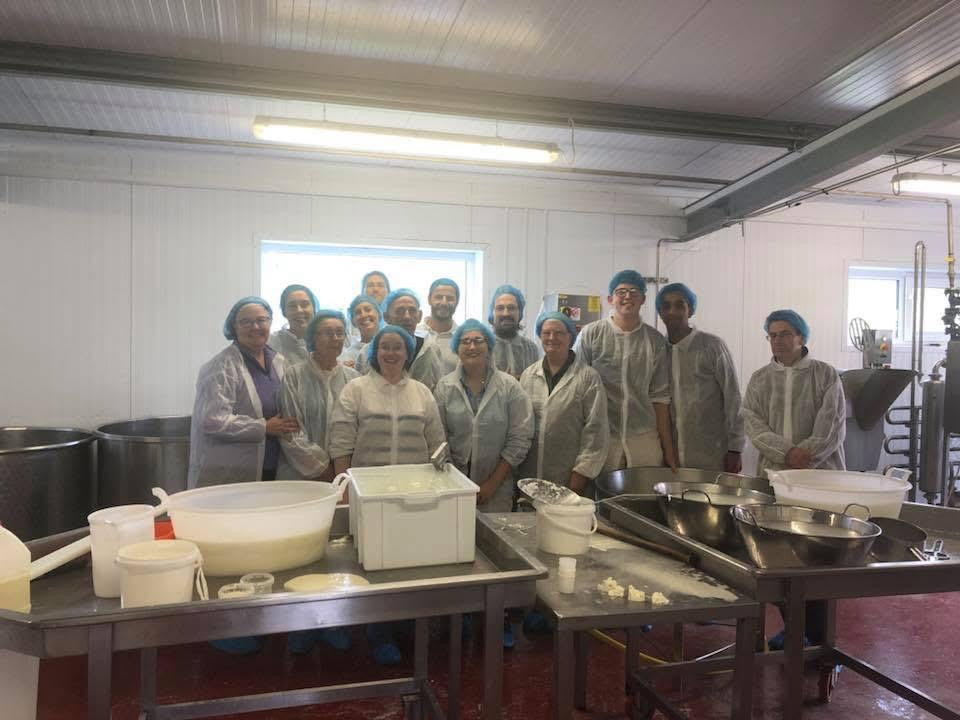 Live Mozzarella Mastercall & Show – Casaro Experience