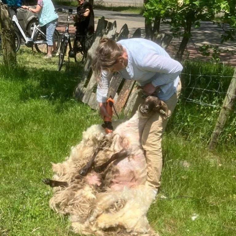 Felting Workshop: From Raw Wool to Felted Fleece