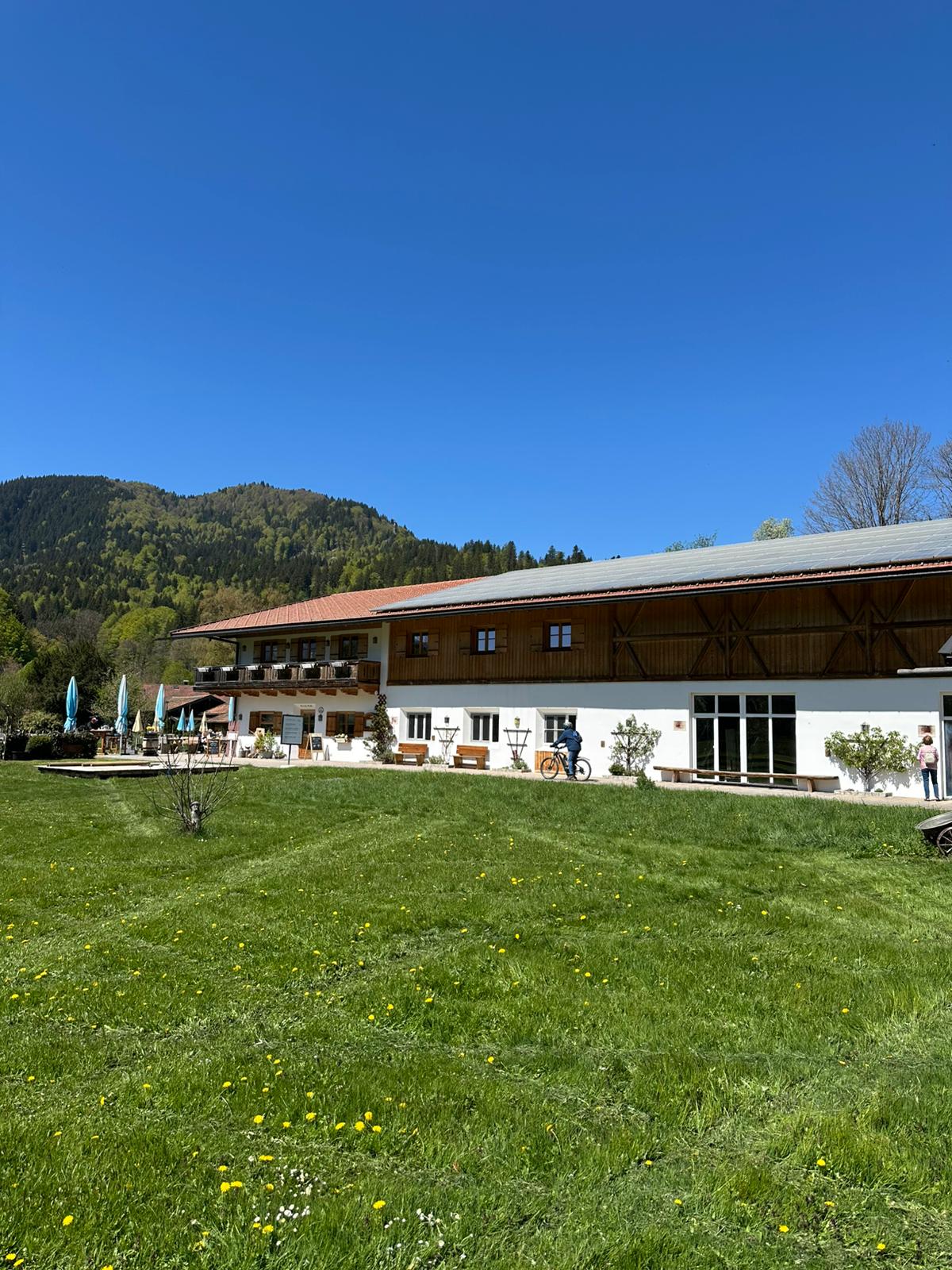 Alpine Dairy & Cheese Experience and Tasting in Bavaria