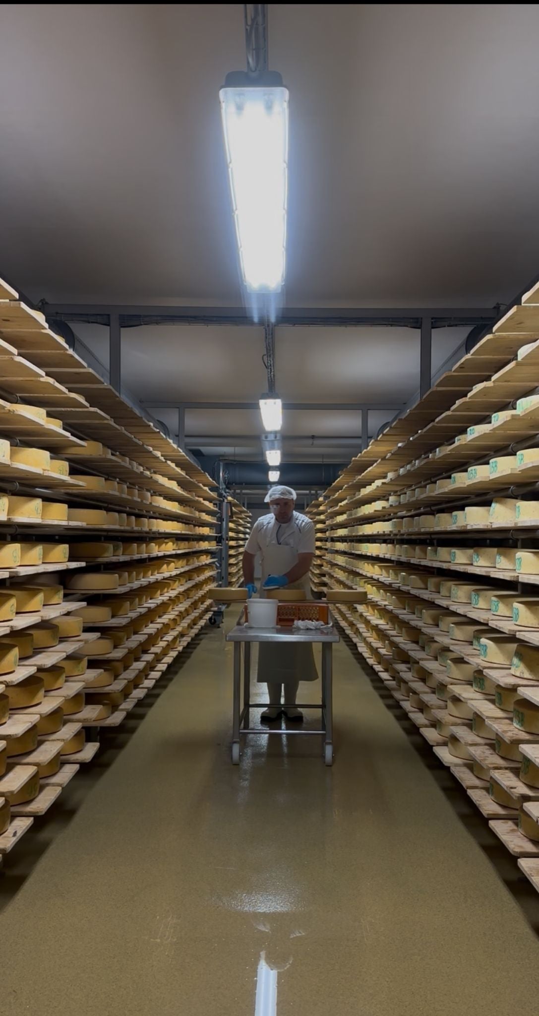 Alpine Dairy & Cheese Experience and Tasting in Bavaria