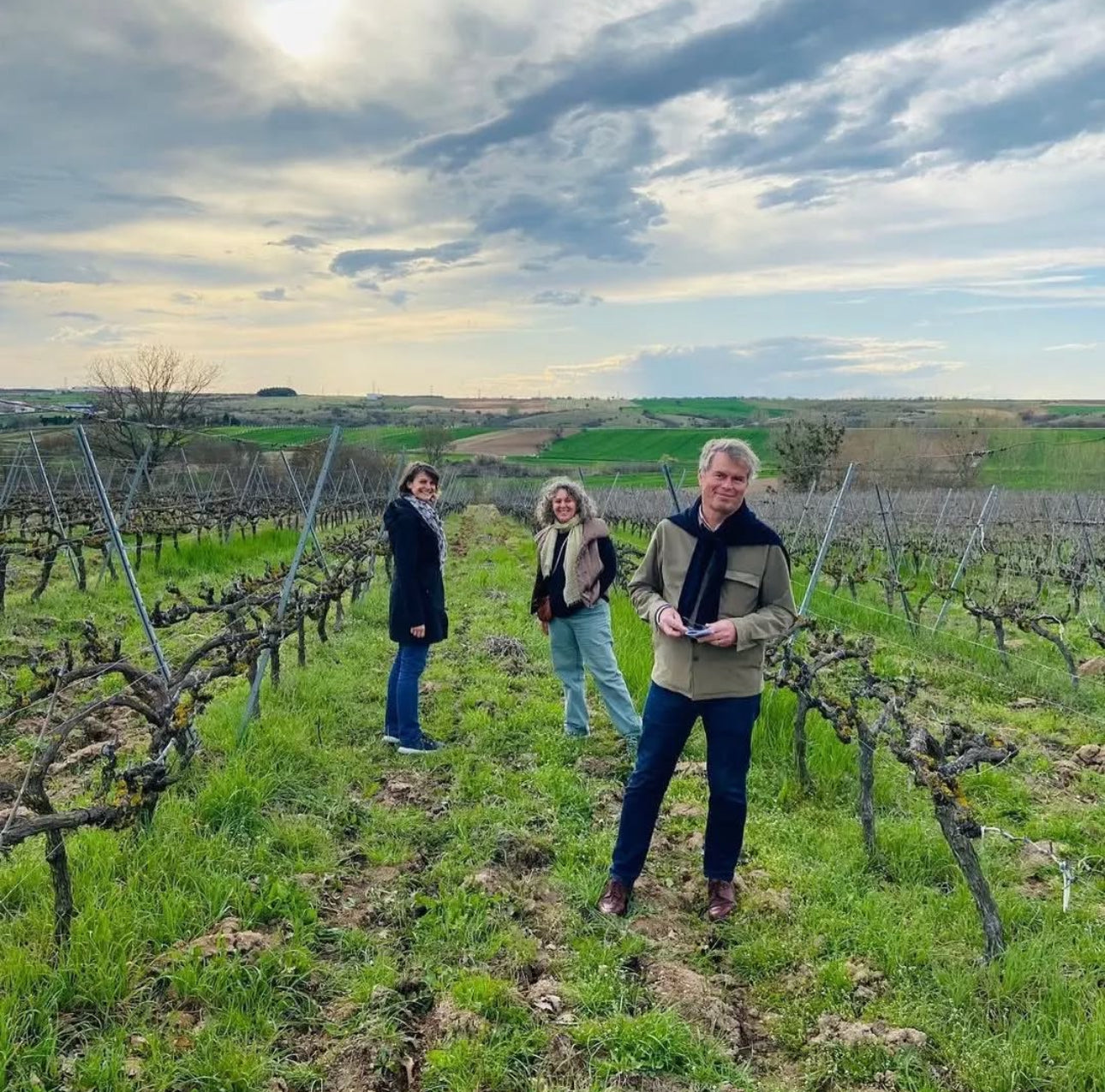 Wine Tasting & Vineyard Walk - Arcadia Vineyards