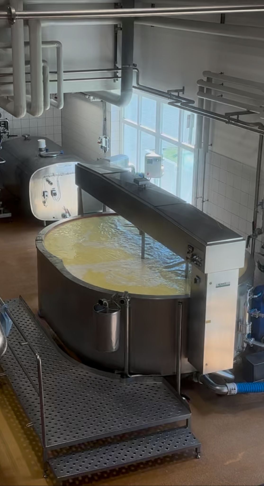 Alpine Dairy & Cheese Experience and Tasting in Bavaria
