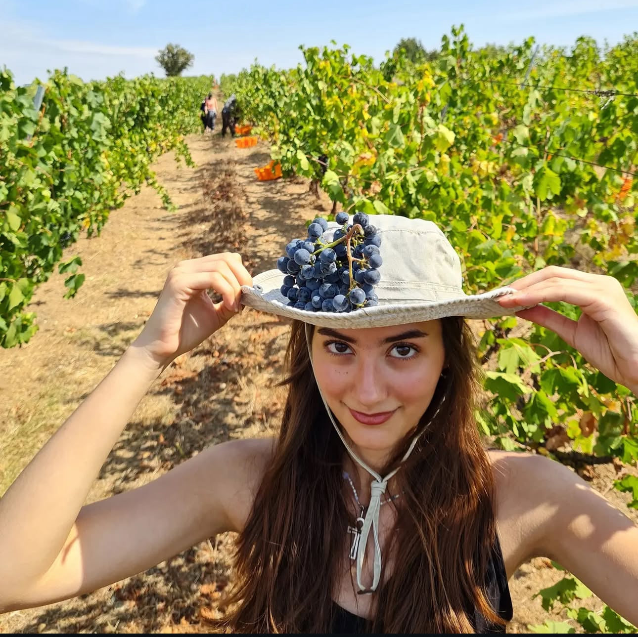 Wine Tasting & Vineyard Walk - Arcadia Vineyards