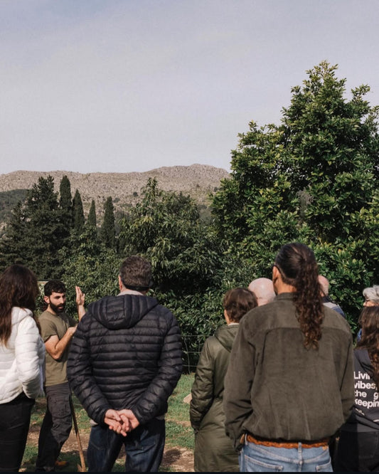 Guided Farm Visit & Cheese Tasting – Sa Cabreta