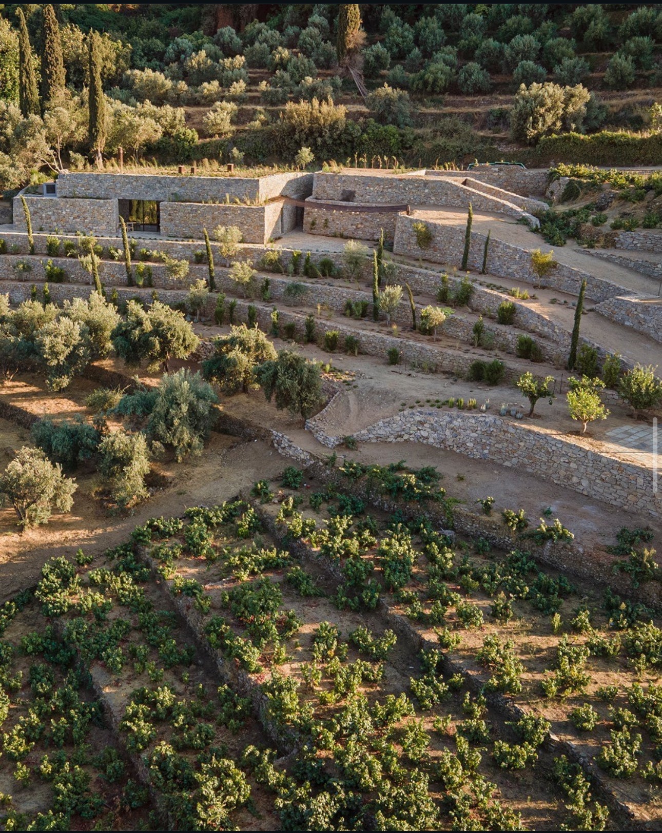 METAXA Signature Tasting Experience in Samos