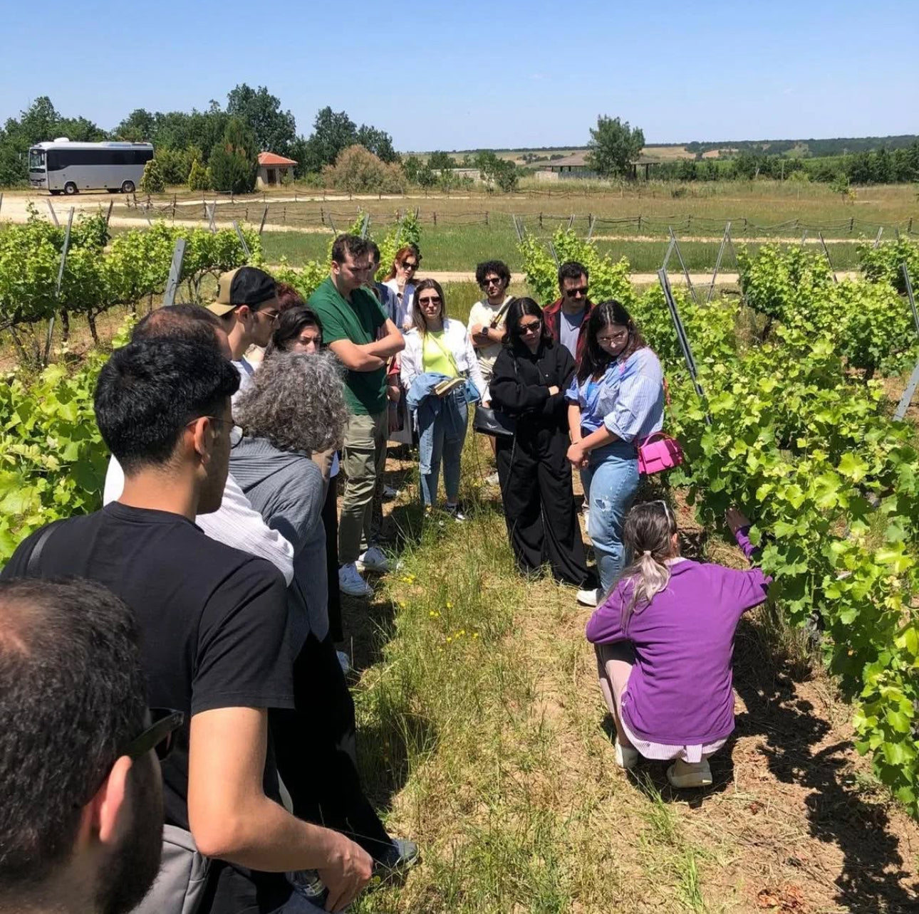 Wine Tasting & Vineyard Walk - Arcadia Vineyards