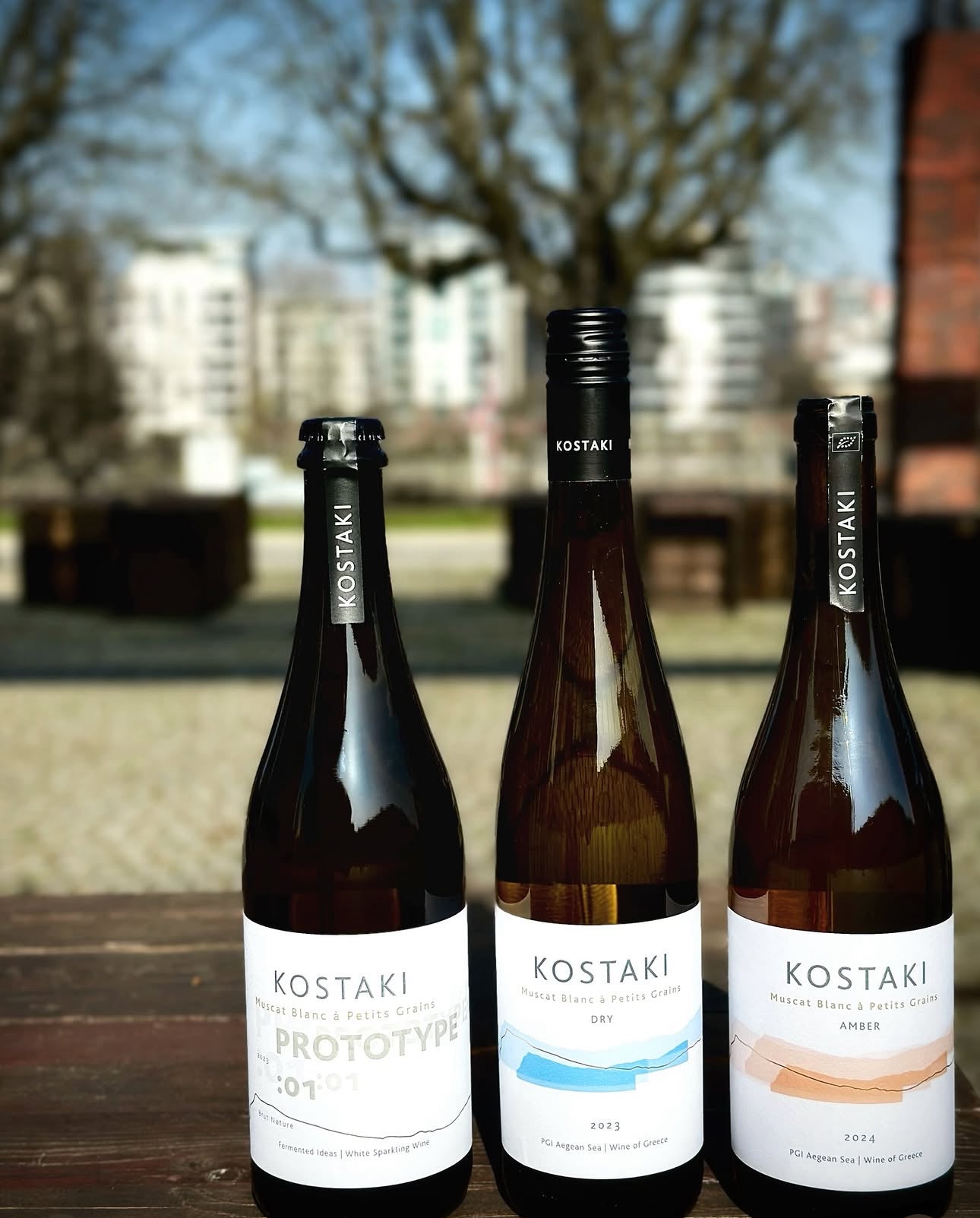Organic Wine Tasting at Samos – Kostaki Winery