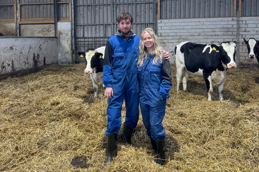 Organic Robotic Dairy Farm Tour - Nijstad Farm