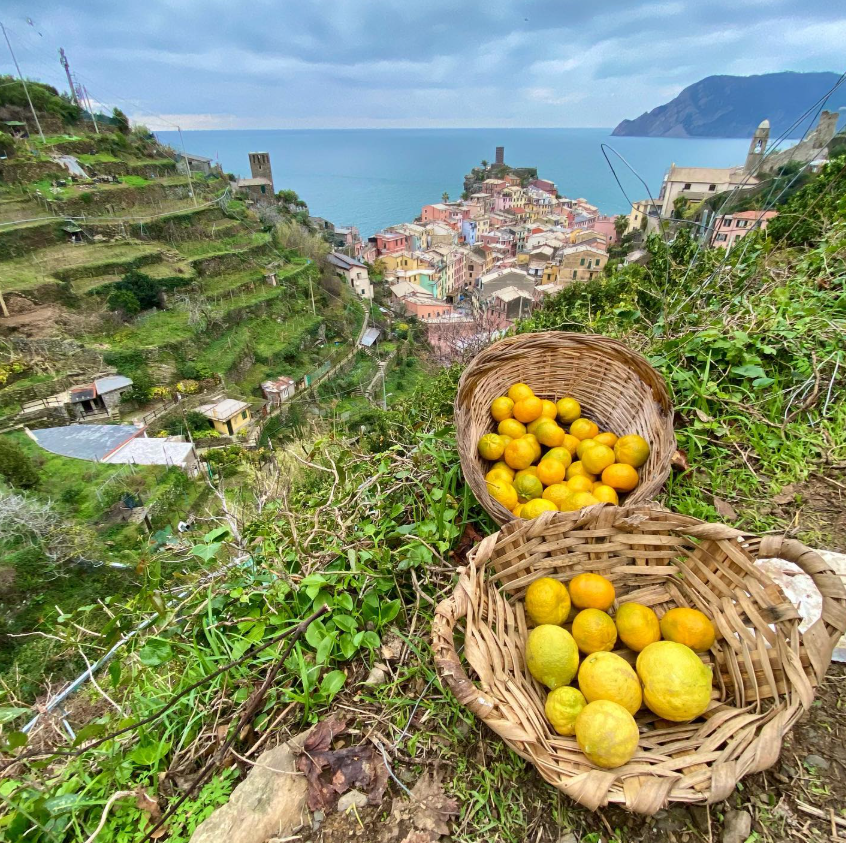 Heroic Vineyard Wine Tour – Eroico Vino