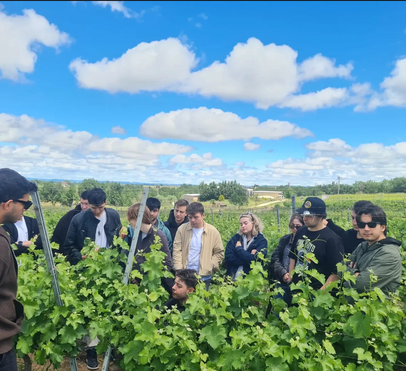 Wine Tasting & Vineyard Walk - Arcadia Vineyards