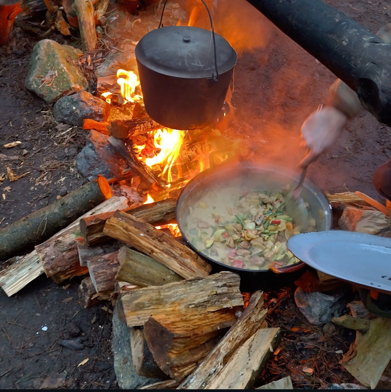 Bushcraft Workshop – Wild Hike