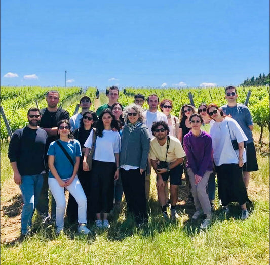 Wine Tasting & Vineyard Walk - Arcadia Vineyards