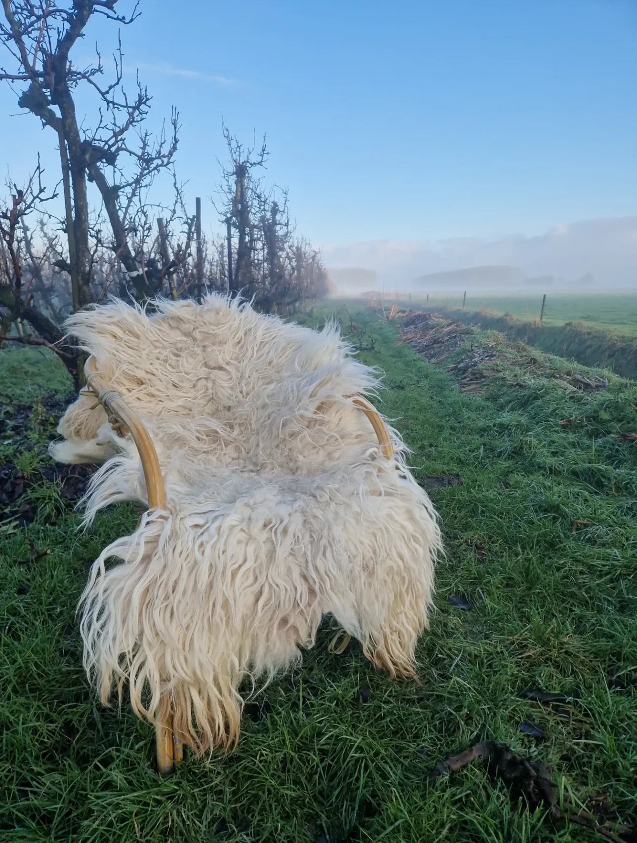 Felting Workshop: From Raw Wool to Felted Fleece