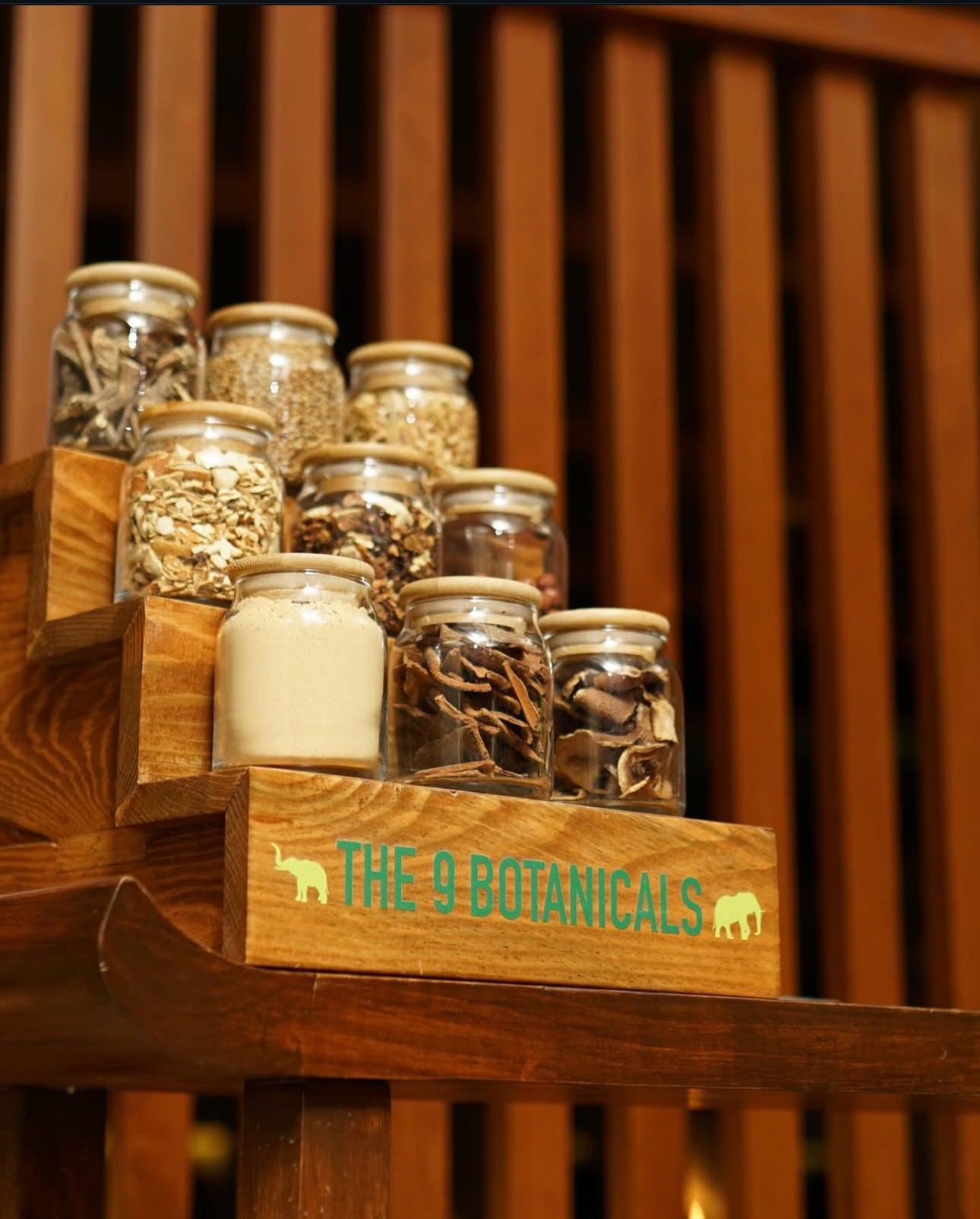 Gin & Botanical Cocktail Workshop