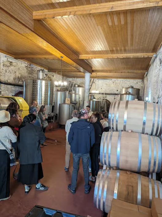 From Porto: 2 Wine Regions, Farm-to-Table Lunch & Private Boat Experience