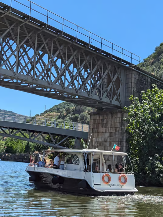 From Porto: 2 Wine Regions, Farm-to-Table Lunch & Private Boat Experience