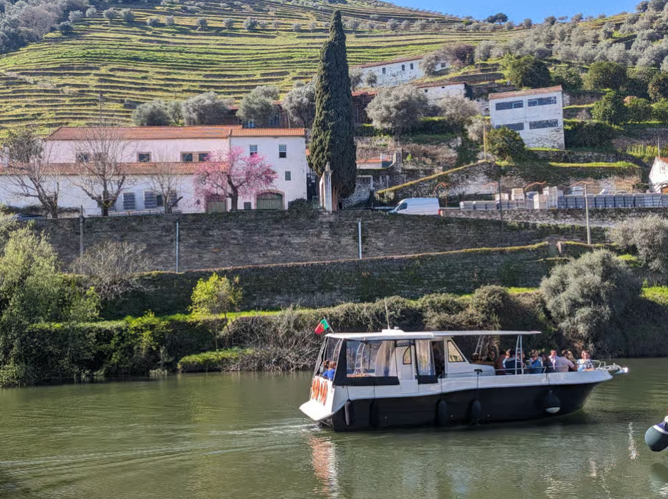 From Porto: 2 Wine Regions, Farm-to-Table Lunch & Private Boat Experience