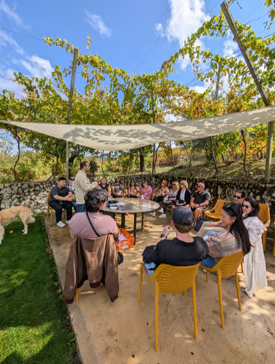 From Porto: 2 Wine Regions, Farm-to-Table Lunch & Private Boat Experience