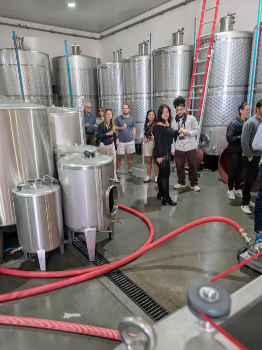 From Porto: 2 Wine Regions, Farm-to-Table Lunch & Private Boat Experience