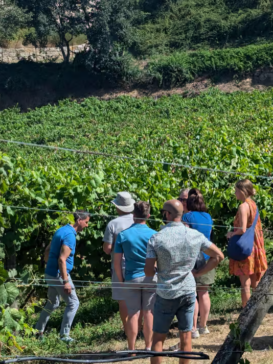 From Porto: 2 Wine Regions, Farm-to-Table Lunch & Private Boat Experience