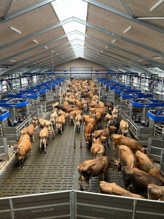 Robotic Large-Farms Tour