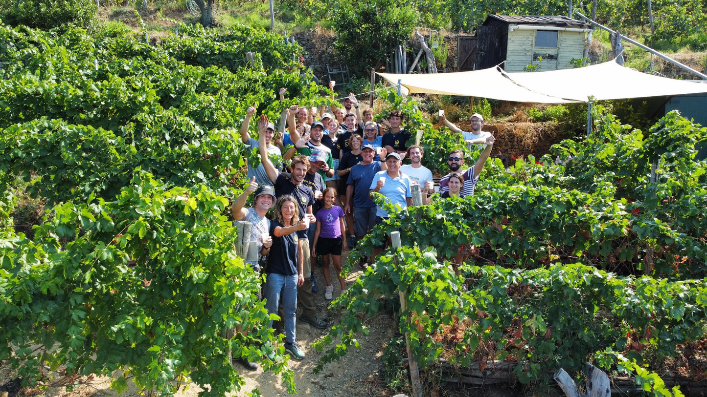 Heroic Vineyard Wine Tour – Eroico Vino