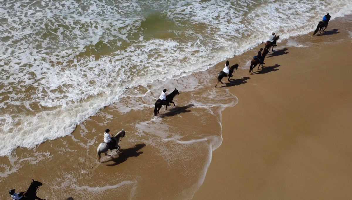 Beyond the Dunes: 4-Day Horse Trek on the Atlantic Coast of Morocco