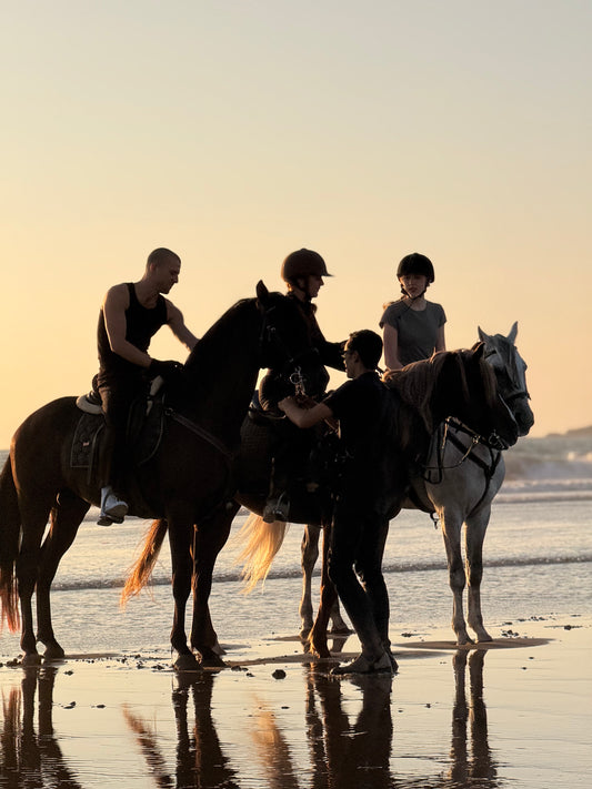 Beyond the Dunes: 4-Day Horse Trek on the Atlantic Coast of Morocco