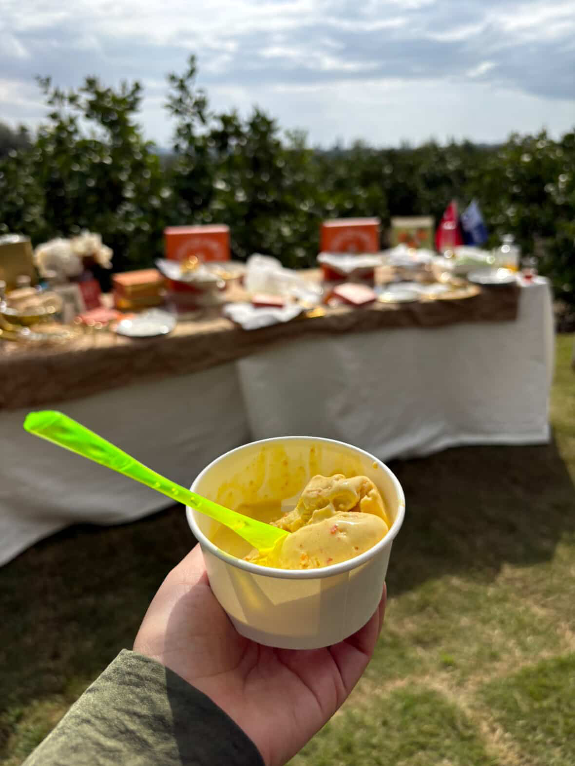 Mandarin Farm Tour - The7 farm