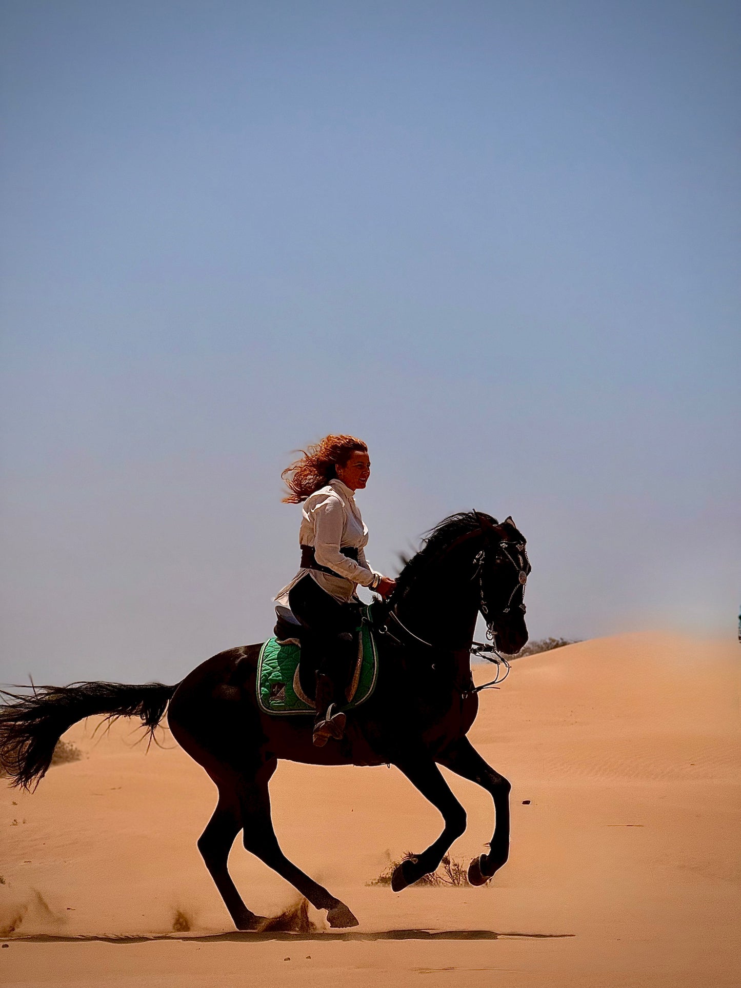 Beyond the Dunes: 4-Day Horse Trek on the Atlantic Coast of Morocco