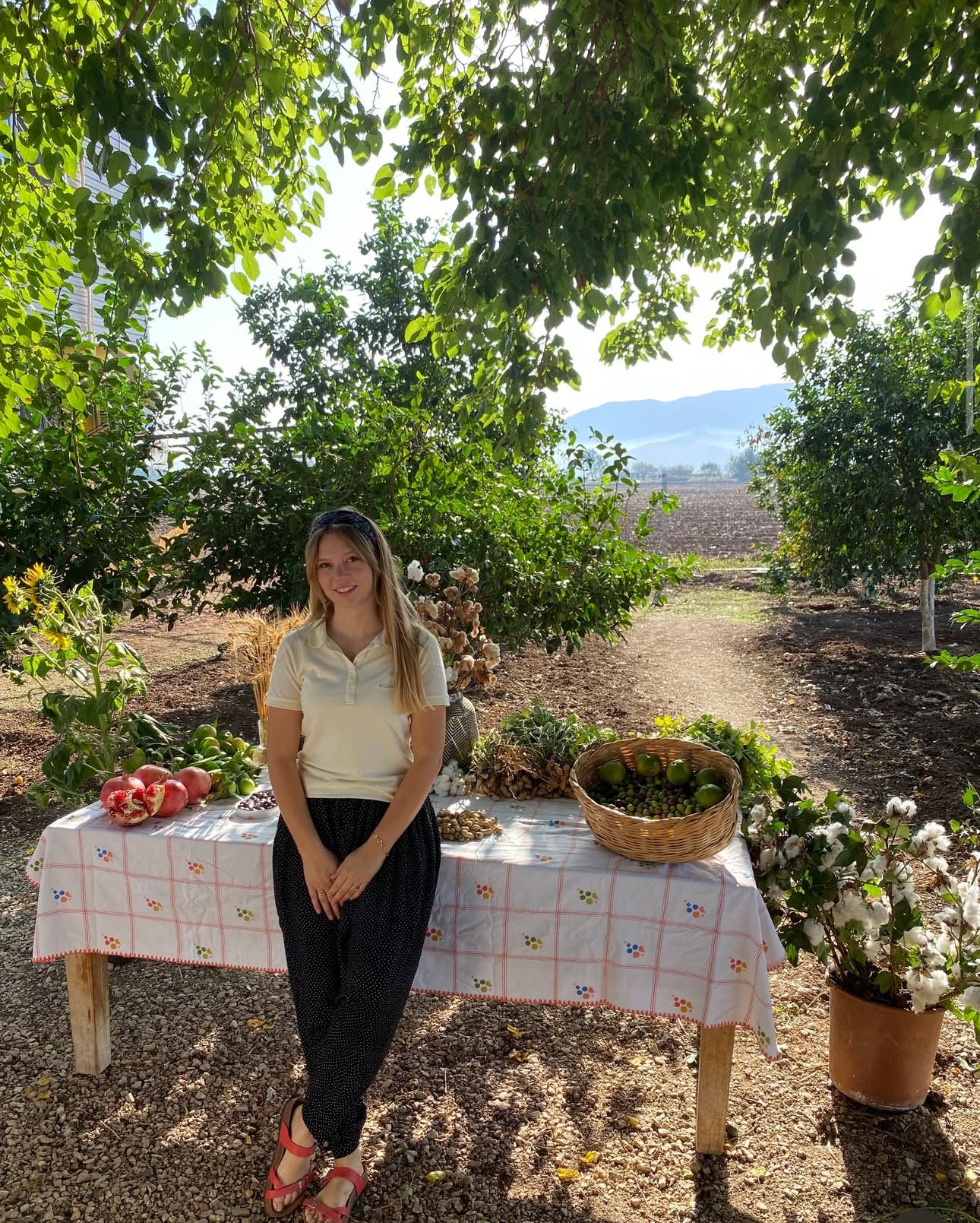 Olive Farm Tour - Ganias Natural Farm