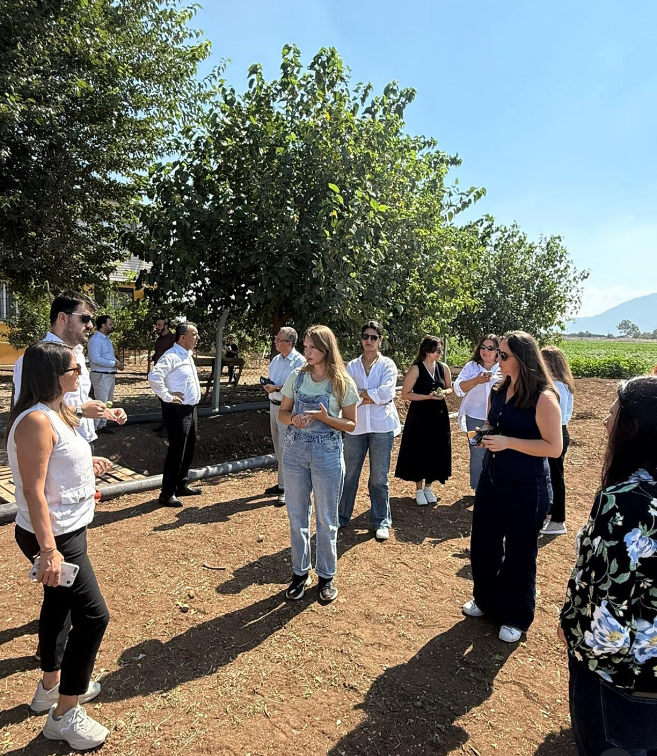 Olive Farm Tour - Ganias Natural Farm
