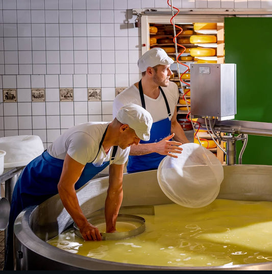 Cheese Farm Tour - Speksnijder farm